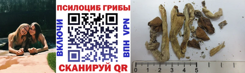 Псилоцибиновые грибы GOLDEN TEACHER  дарнет шоп  Стрежевой 
